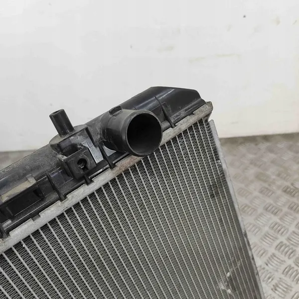 Radiador KIA Carnival 2007 image 6