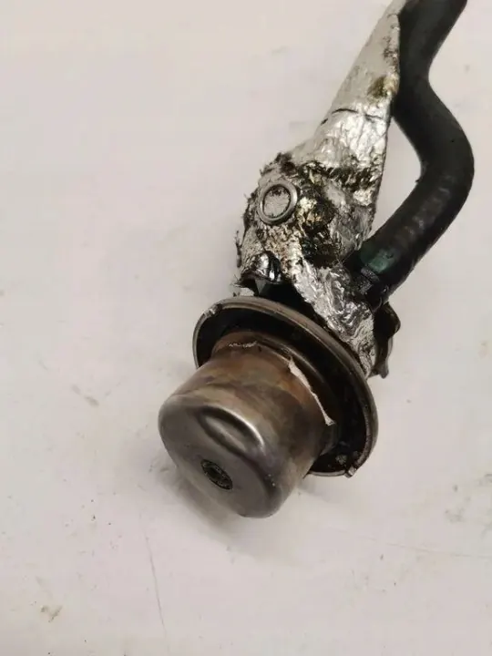 Inyector AdBlue Mercedes-Benz OEM A0004901313 image 2