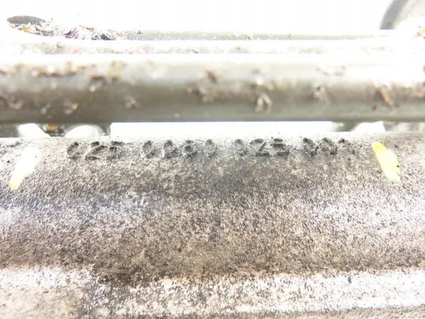 TRW Stuurbekrachtiging 0250080025001 image 3