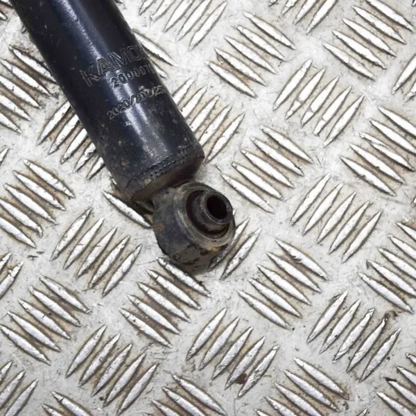 Ammortizzatore posteriore destro Ford Transit 2010 image 5