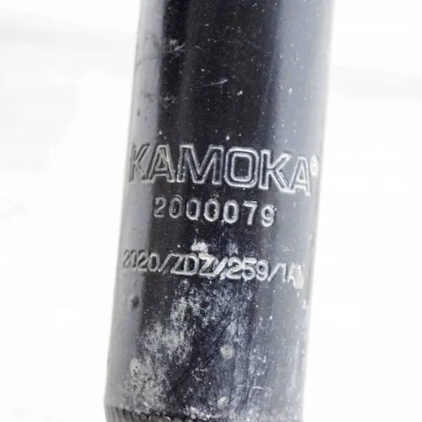 Ammortizzatore posteriore destro Ford Transit 2010 image 6