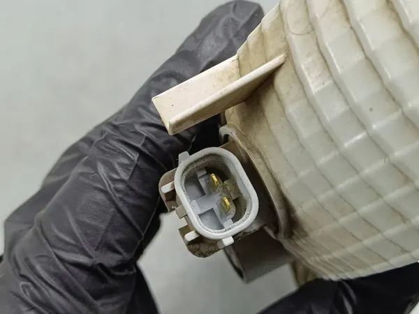 Luz de marcha à ré Hyundai Santa Fe V MX5 2025 924A3P6L image 5