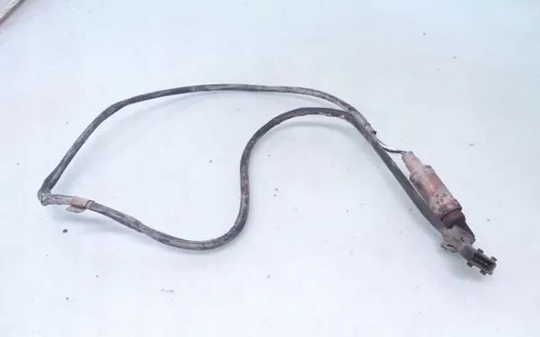 Lambdatutka OEM 0258003669 Peugeot 406:lle image 2