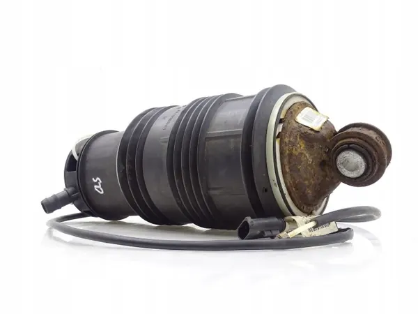 Coussin d'air suspension arrière OEM C095080 gauche/droit image 3