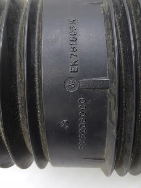 Coussin d'air suspension arrière OEM C095080 gauche/droit image 5