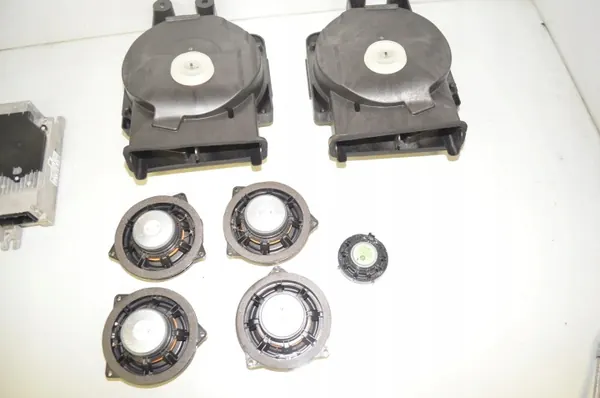 Système audio BMW OE OEM 65138715685 pour F40 image 5