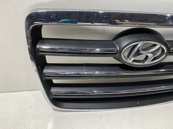 Hyundai H-1, Starex, Satellite 2006 Radiator Grille image 2