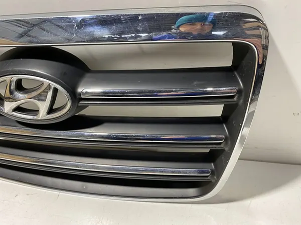 Hyundai H-1, Starex, Satellite 2006 Radiator Grille image 4