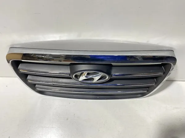 Hyundai H-1, Starex, Satellite 2006 Radiator Grille image 5