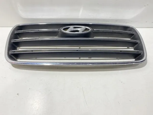 Hyundai H-1, Starex, Satellite 2006 Radiator Grille image 7