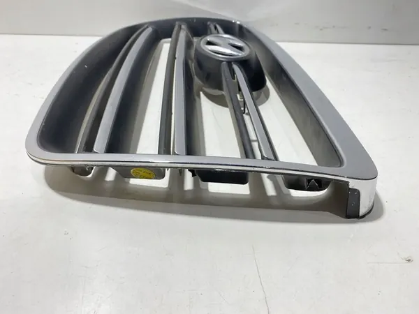 Hyundai H-1, Starex, Satellite 2006 Radiator Grille image 8