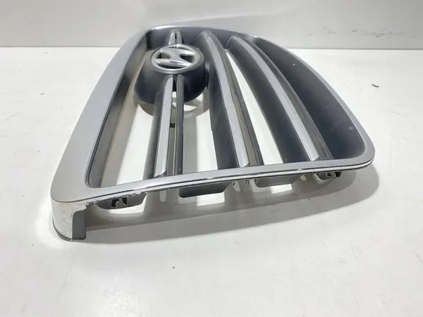 Hyundai H-1, Starex, Satellite 2006 Radiator Grille image 9