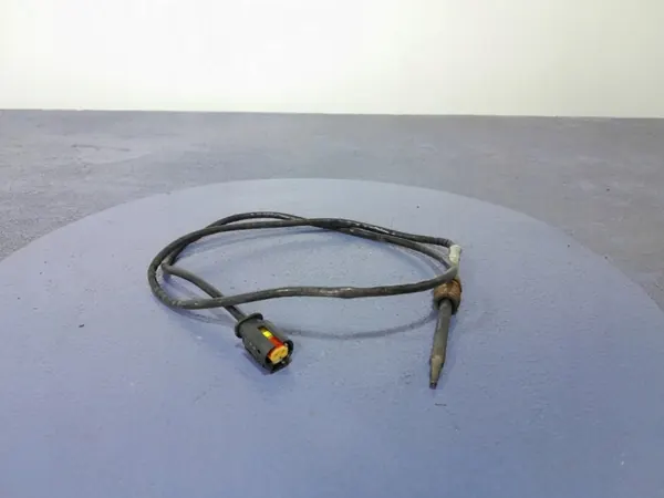 Sensor Temperatura Escape BMW OEM 8490146 image 2