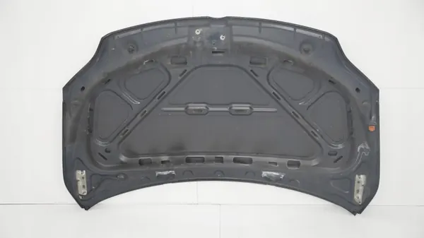 Motorafdekking OEM 360182522 voor VW Golf V Plus 05-08 image 10
