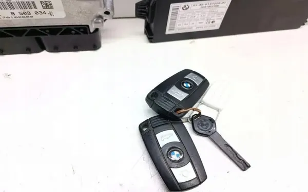 BMW Ontstekingsset OEM 8509034 voor 3.0L Diesel image 3