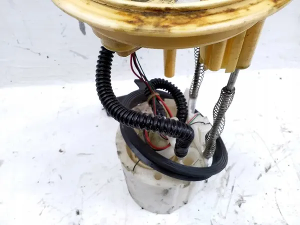 Brandstofpomp Volkswagen Tiguan 2009 image 4