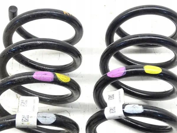 Ressorts Suspension Arrière OEM 55330-R2CA0 Kia Sportage image 3
