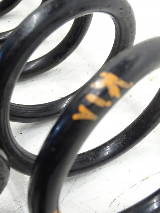 Ressorts Suspension Arrière OEM 55330-R2CA0 Kia Sportage image 5