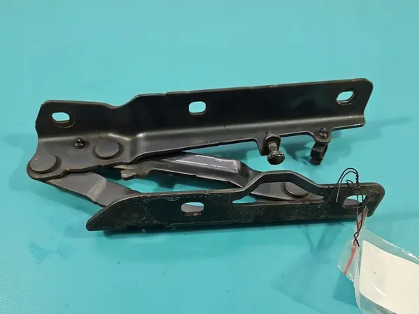 Bisagra de Capó Izquierda Tesla Model S image 4