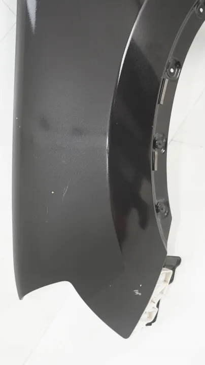Para-lama dianteiro esquerdo OEM 360196807 Nissan Qashqai J10 image 5
