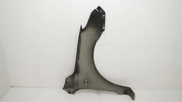 Para-lama dianteiro esquerdo OEM 360203603 Hyundai i30 image 9