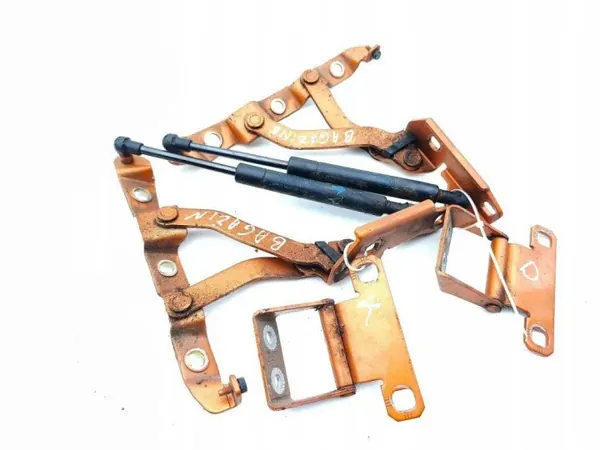Bisagras de maletero Nissan 350Z 2004 OEM 6295QL0290N image 3