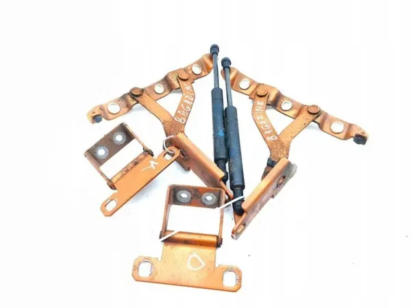 Bisagras de maletero Nissan 350Z 2004 OEM 6295QL0290N image 4