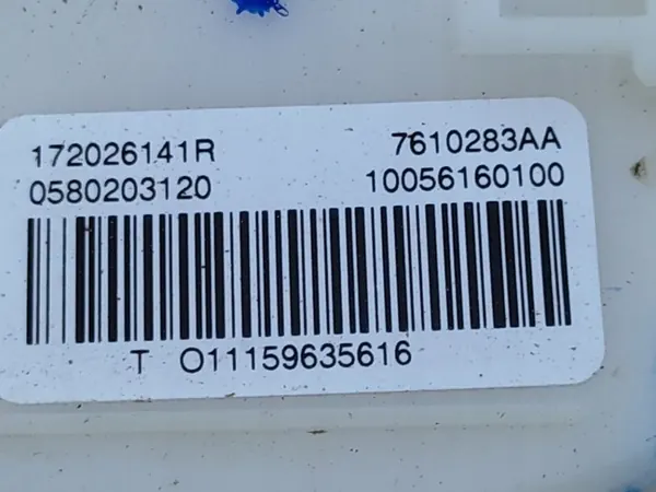 Bomba de Combustível Renault Scenic III 1.6 DCI 0580203120 image 3