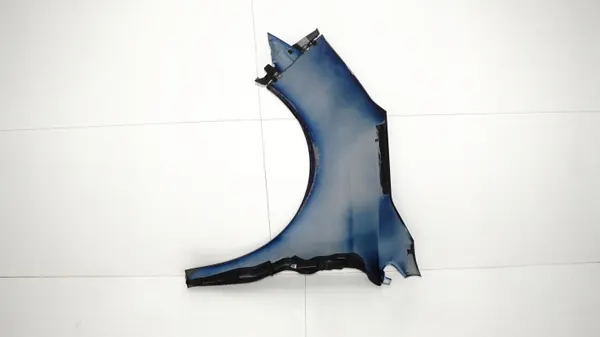 OEM 360150298 Etu-oikea lokasuoja Citroen C4 II:lle image 10