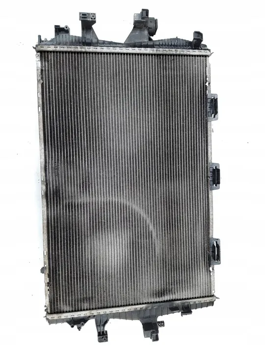 2006 Volkswagen Transporter - Caravelle T5 Radiador 7H0121253K image 5