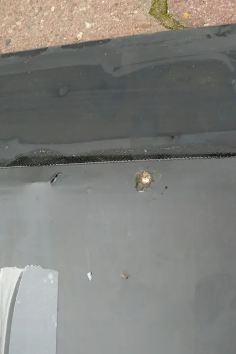 Zonnedak afdichting OEM SZYBA USZCZELKA Audi A8 D2 image 7