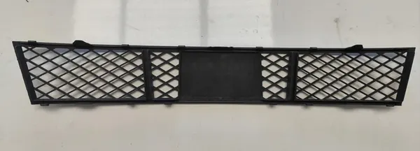 Griglia paraurti anteriore BMW F10 F11 Sinistra Destra image 2