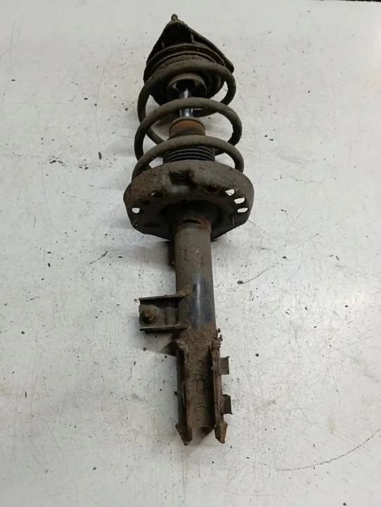 Rechter Vorderer Stoßdämpfer OEM 546602R250S2 image 2