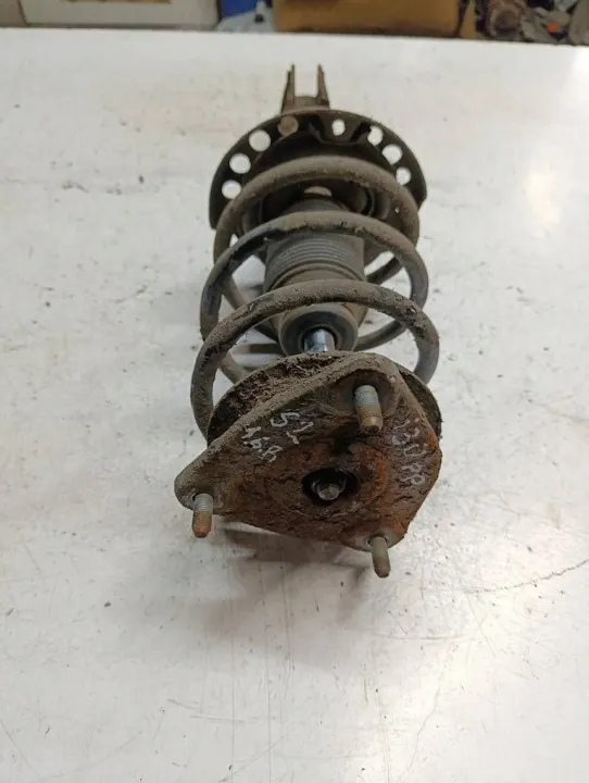 Rechter Vorderer Stoßdämpfer OEM 546602R250S2 image 3