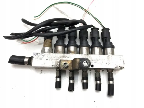 Injector GPL OEM LORK-212-1000000000 MTM image 2