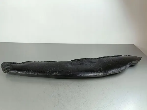 2022 Lincoln Corsair Isolation d'aile OEM FOB44465 image 3