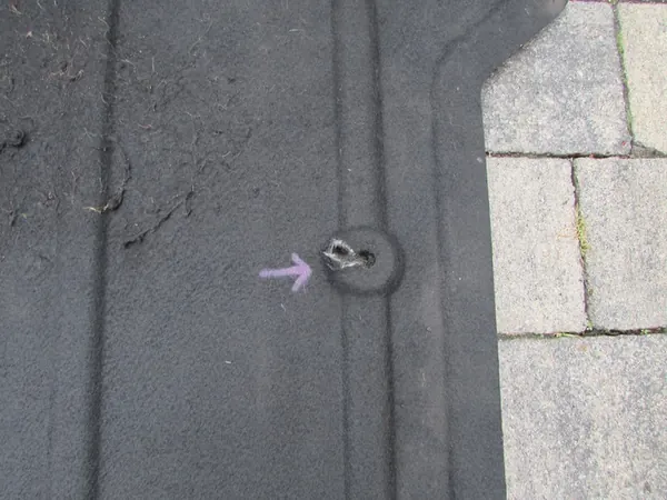 Motorplåt Audi Q3 8U0863821A image 3