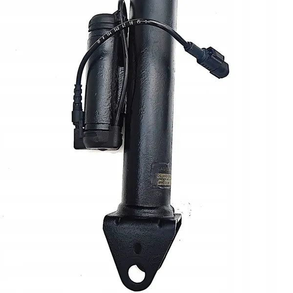 Amortizzatore posteriore MERCEDES ML W164 image 4