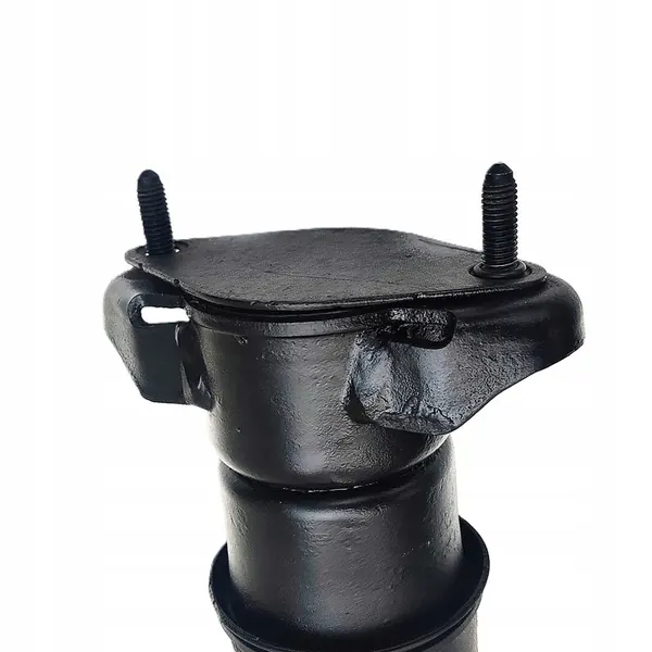 Amortizzatore posteriore MERCEDES ML W164 image 5