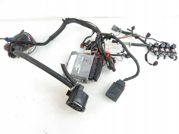 Kit LPG Prins OEM 67R010098 - ECM VSI-4 Keihin image 2