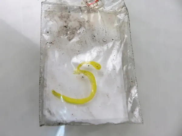 Iniettore carburante AUDI Q7 4.2 FSI, OEM 079906036C image 2