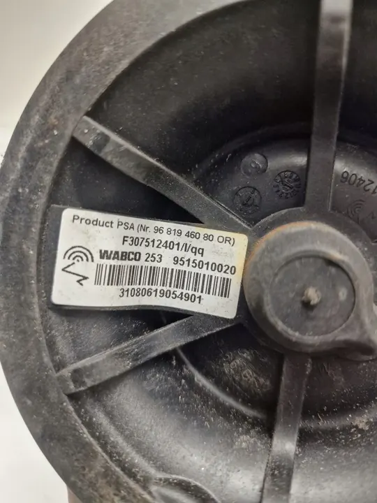 Molla ad aria CITROEN C4 PICASSO R307512403 image 2