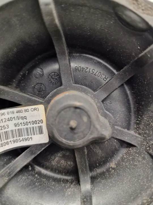 Molla ad aria CITROEN C4 PICASSO R307512403 image 3