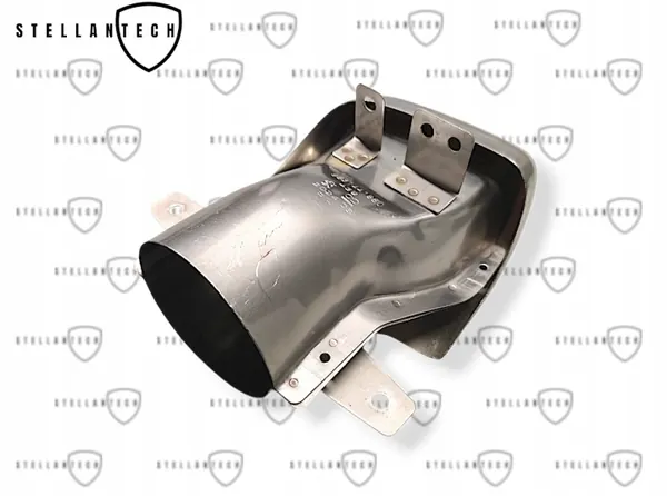 Peugeot 2008 II Avgasrörsslut Höger OEM 9831441880 image 5