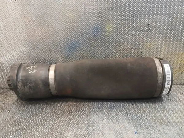 OEM 2513200425 Mercedes-Benz R W251 Vasen takatyyyny image 2