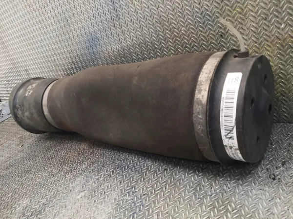 OEM 2513200425 Mercedes-Benz R W251 Vasen takatyyyny image 3