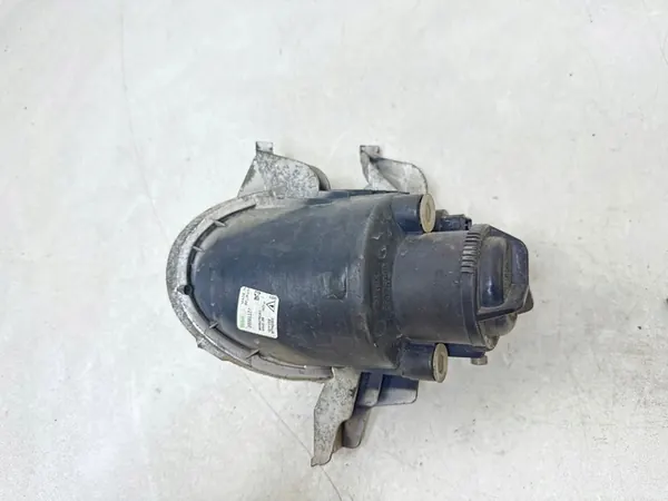 Halógeno Peugeot OE image 3