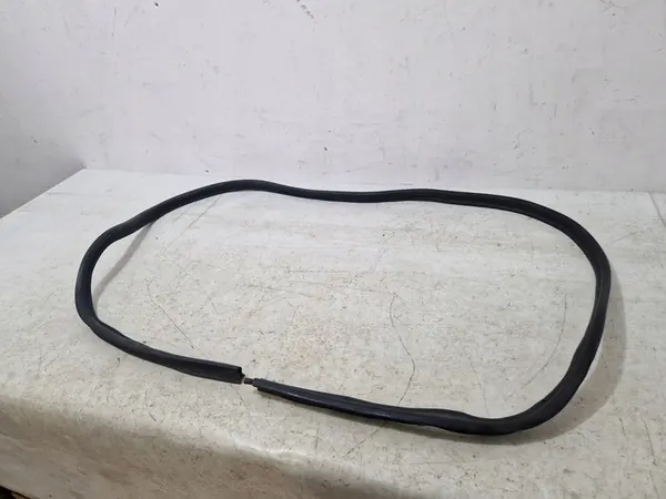 Challenger 2015- Bakluck tätning OEM image 4