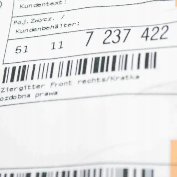 Griglia paraurti destra BMW X3 (F25) 2017 51117237422 image 7