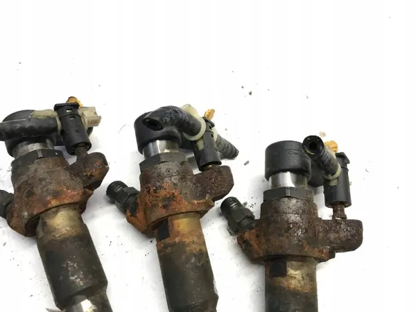 Injetor CONTINENTAL 166000372R Renault Master image 8